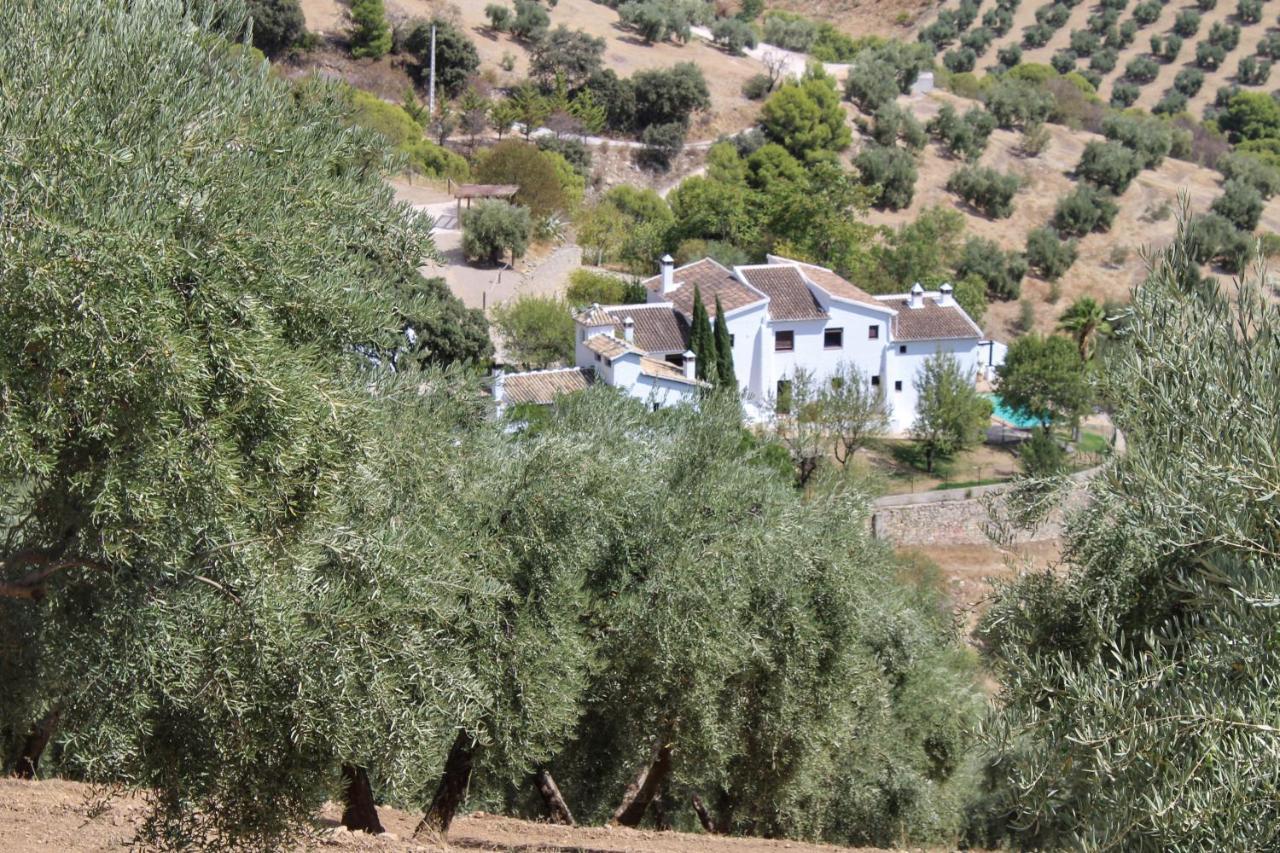 בית הארחה מונטפריו 	Cortijo La Fe מראה חיצוני תמונה