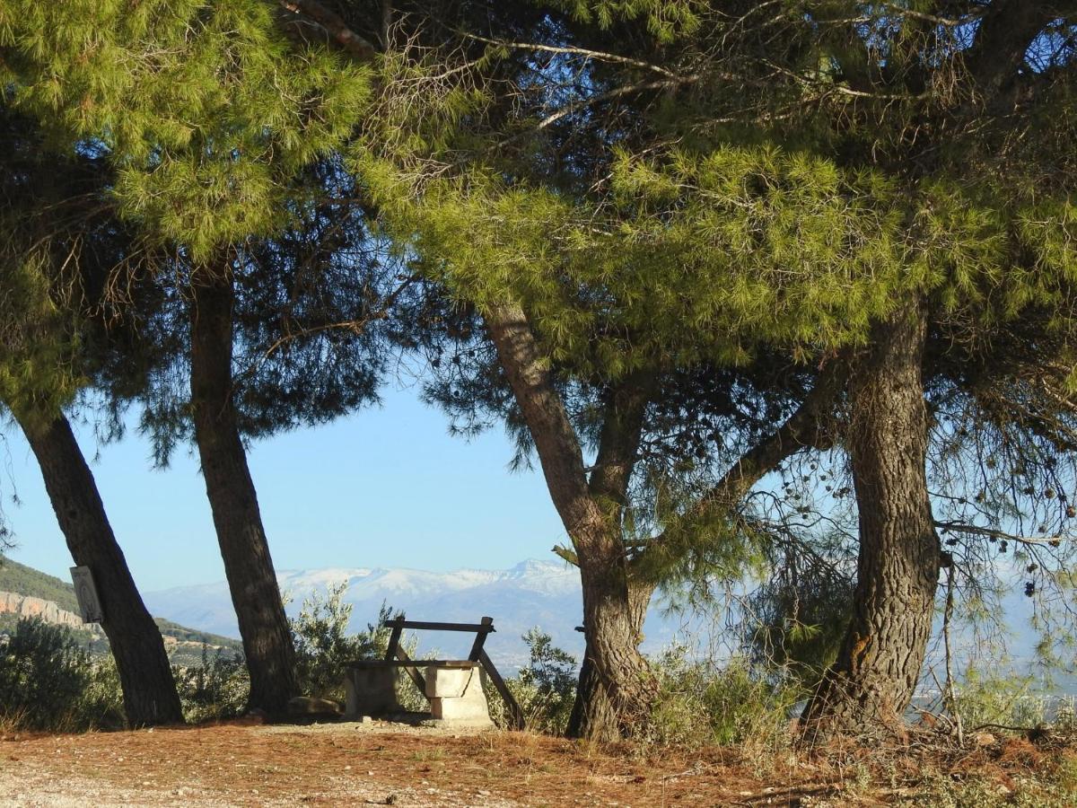 בית הארחה מונטפריו 	Cortijo La Fe מראה חיצוני תמונה