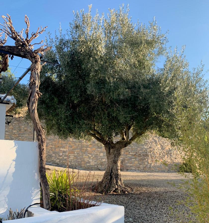 בית הארחה מונטפריו 	Cortijo La Fe מראה חיצוני תמונה