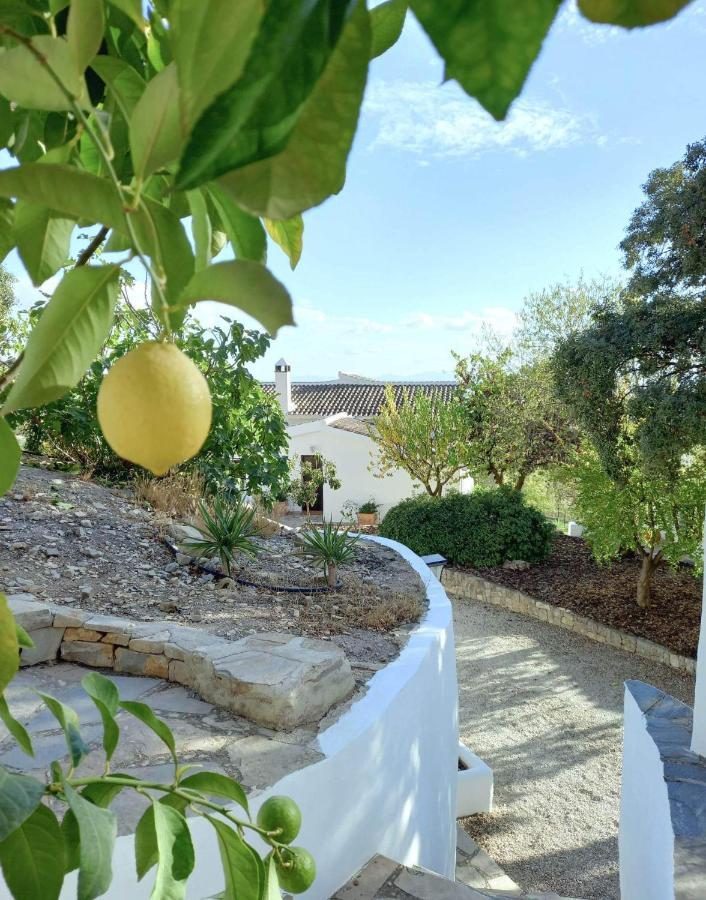 בית הארחה מונטפריו 	Cortijo La Fe מראה חיצוני תמונה