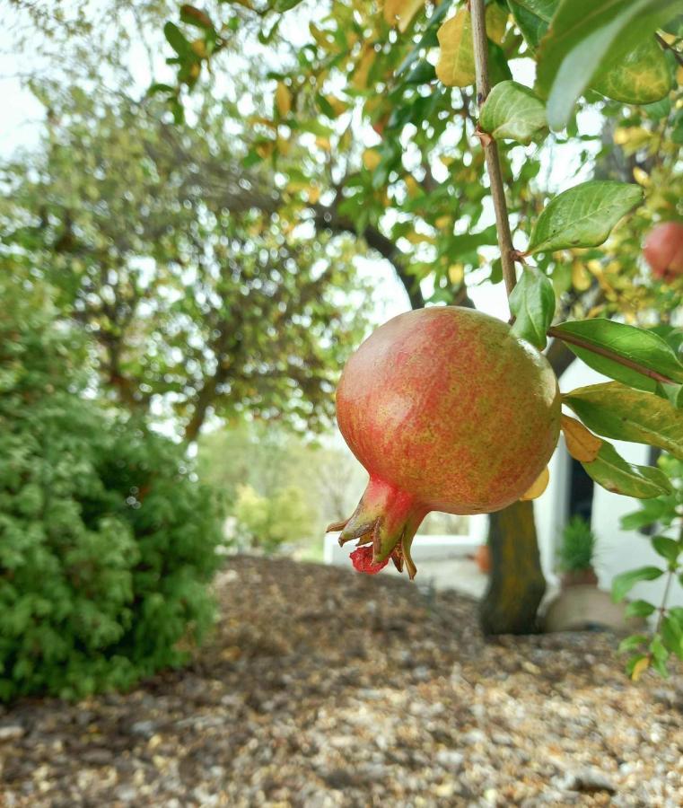 בית הארחה מונטפריו 	Cortijo La Fe מראה חיצוני תמונה