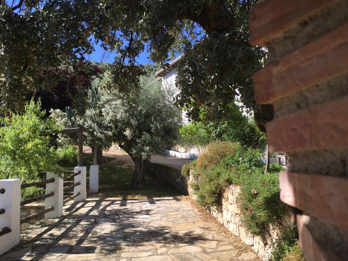בית הארחה מונטפריו 	Cortijo La Fe מראה חיצוני תמונה