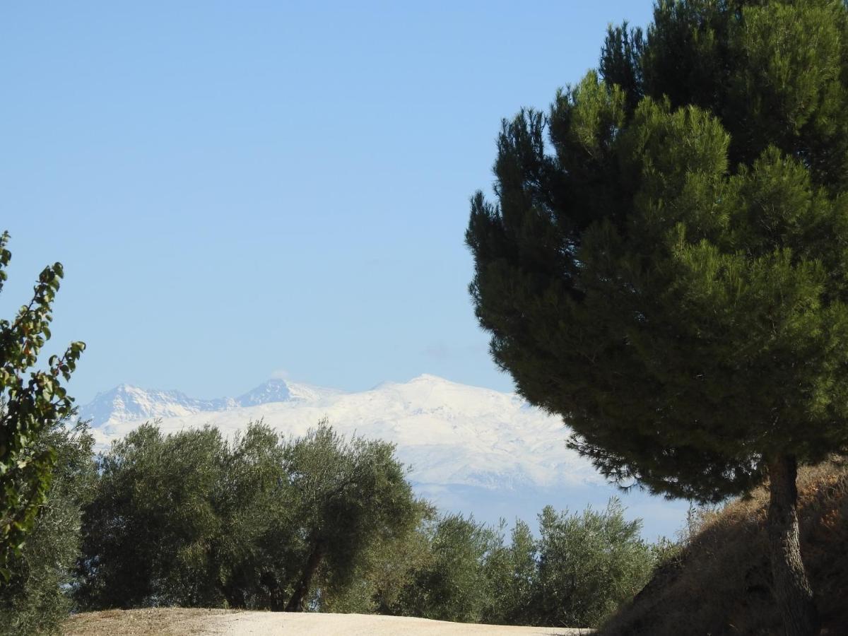 בית הארחה מונטפריו 	Cortijo La Fe מראה חיצוני תמונה