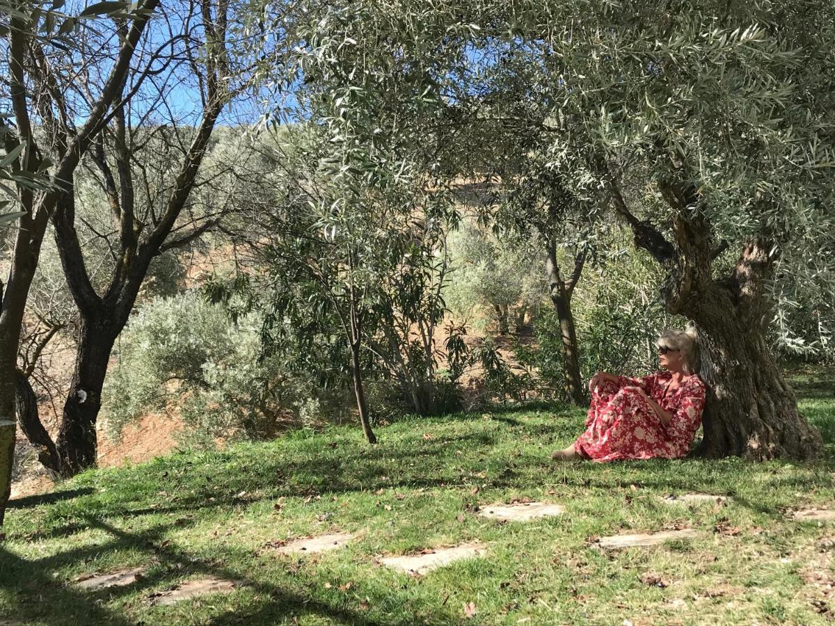 בית הארחה מונטפריו 	Cortijo La Fe מראה חיצוני תמונה