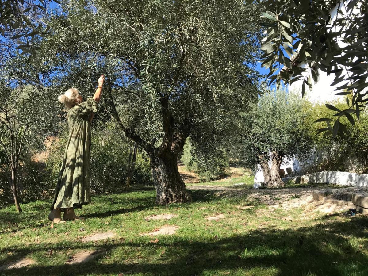 בית הארחה מונטפריו 	Cortijo La Fe מראה חיצוני תמונה